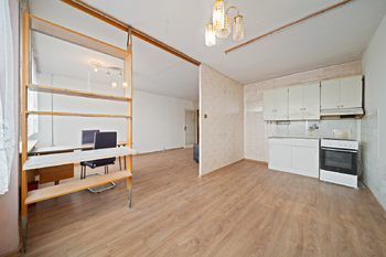 Prodej bytu 3+kk v osobním vlastnictví 76 m², Praha 4 - Krč