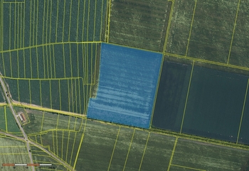 Prodej pozemku 172887 m², Těšetice