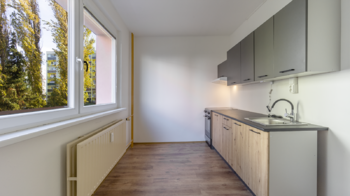 Pronájem bytu 2+1 v družstevním vlastnictví 56 m², Česká Lípa