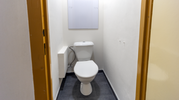 Pronájem bytu 2+1 v družstevním vlastnictví 56 m², Česká Lípa