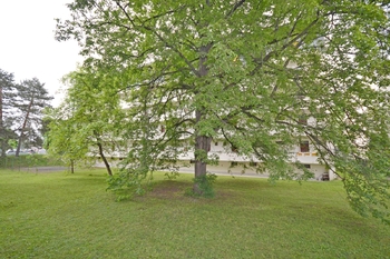 Pronájem bytu 2+kk v osobním vlastnictví 47 m², Brno