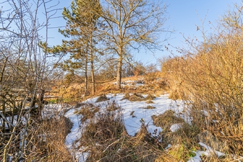 Prodej domu 143 m², Zákolany