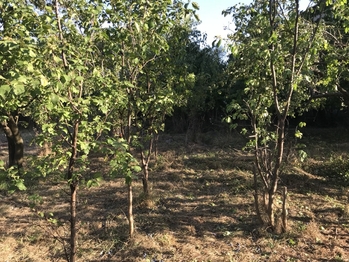 Prodej pozemku 1216 m², Bezvěrov