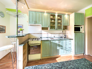 Pronájem bytu 1+1 v družstevním vlastnictví 43 m², Ostrava