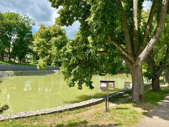 Prodej pozemku 601 m², Svémyslice