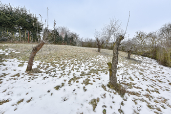 Prodej domu 150 m², Horní Bělá