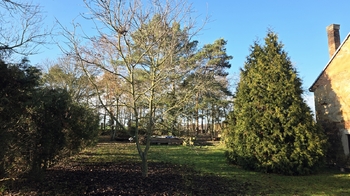 Prodej pozemku 820 m², Poštovice