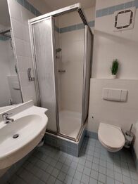 Prodej bytu 1+kk v osobním vlastnictví 19 m², Freyung-Grafenau