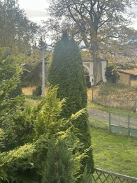 Prodej domu 140 m², Teplá