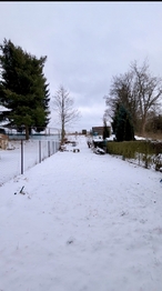 Prodej domu 140 m², Teplá