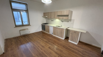 Pronájem bytu 1+1 v osobním vlastnictví 50 m², Horní Cerekev