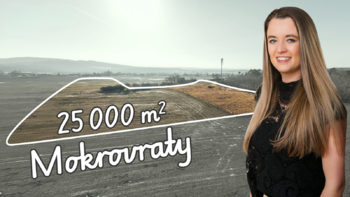 Prodej pozemku 24967 m², Mokrovraty
