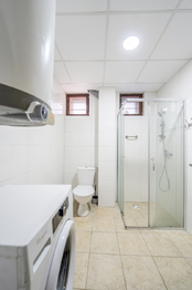 Prodej domu 180 m², Stachy