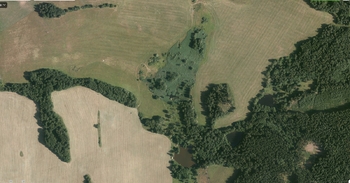 Prodej pozemku 10807 m², Hošťka