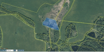 Prodej pozemku 10807 m², Hošťka