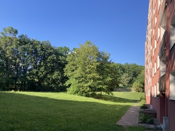 Prodej bytu 1+1 v družstevním vlastnictví 36 m², Chomutov