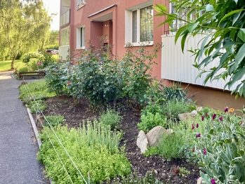 Prodej bytu 1+1 v družstevním vlastnictví 36 m², Chomutov