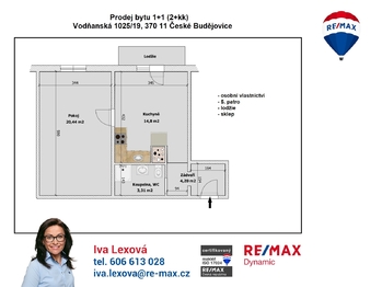 orientační půdorys - Prodej bytu 1+1 v osobním vlastnictví 48 m², České Budějovice