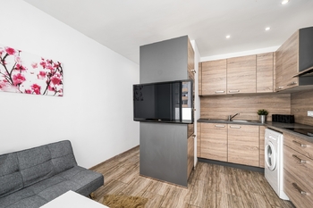 Prodej bytu 1+1 v osobním vlastnictví 48 m², České Budějovice