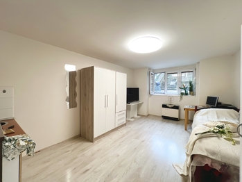 Prodej bytu 1+kk v osobním vlastnictví 28 m², Praha 4 - Michle