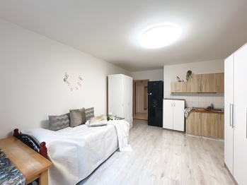 Prodej bytu 1+kk v osobním vlastnictví 28 m², Praha 4 - Michle