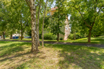 Pronájem bytu 1+1 v družstevním vlastnictví 38 m², Most