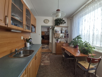 Pronájem bytu 2+1 v družstevním vlastnictví 59 m², Moravská Třebová