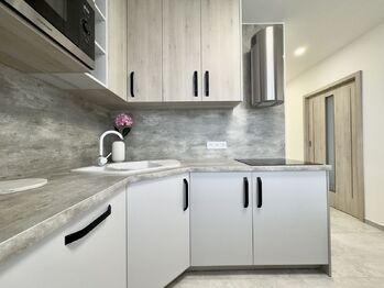 Pronájem bytu 1+1 v osobním vlastnictví 40 m², Žatec