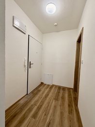 Pronájem bytu 1+1 v osobním vlastnictví 39 m², Ostrava