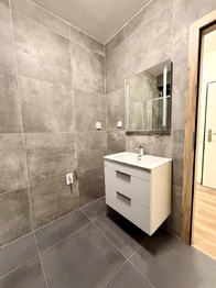 Pronájem bytu 1+1 v osobním vlastnictví 39 m², Ostrava