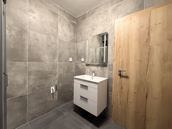 Pronájem bytu 1+1 v osobním vlastnictví 39 m², Ostrava