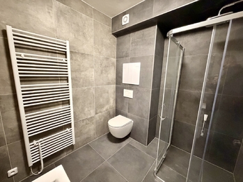 Pronájem bytu 1+1 v osobním vlastnictví 39 m², Ostrava