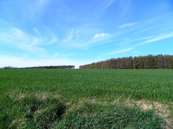 Obec má nádherné přírodní okolí. - Prodej pozemku 984 m², Přehořov