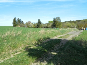 Příjezdová cesta. Na hranici pozemku je veden vodovod. - Prodej pozemku 984 m², Přehořov