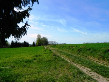 Cesta kolem pozemku. - Prodej pozemku 984 m², Přehořov