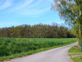 Příjezdová cesta je asfatová, následně zpevněná. - Prodej pozemku 984 m², Přehořov