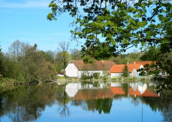 Hrušova Lhota je nádherná jihočeská vesnička s geniem loci. V obci je několik krásných rybníků. - Prodej pozemku 984 m², Přehořov
