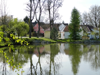 Z obce. - Prodej pozemku 984 m², Přehořov