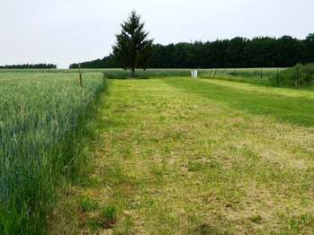 Pozemek je rovinatý. - Prodej pozemku 984 m², Přehořov