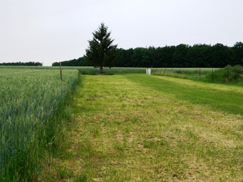 V pozadí elektrokaplička. - Prodej pozemku 984 m², Přehořov