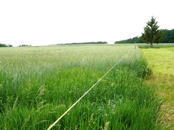 Vytýčení pozemku. - Prodej pozemku 984 m², Přehořov