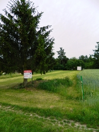 Pozemek od příjezdové cesty zdobí krásný smrk. - Prodej pozemku 984 m², Přehořov