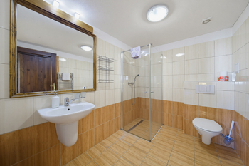 Prodej ubytovacího zařízení 961 m², Přibyslav