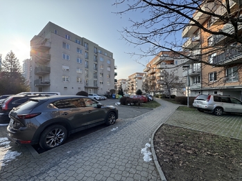 parkování před domem - Pronájem bytu 2+kk v osobním vlastnictví 56 m², Praha 10 - Strašnice