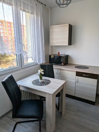 Pronájem bytu 2+1 v osobním vlastnictví 65 m², Ústí nad Labem