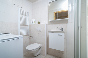 Prodej bytu 1+kk v osobním vlastnictví 23 m², Praha 3 - Žižkov