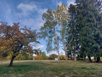 Prodej pozemku 812 m², Vysoké nad Jizerou