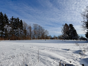 Prodej pozemku 812 m², Vysoké nad Jizerou