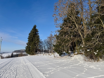 Prodej pozemku 812 m², Vysoké nad Jizerou