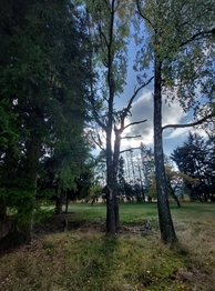 Prodej pozemku 812 m², Vysoké nad Jizerou